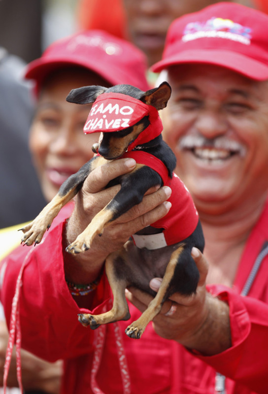 A supporter of Venezuela's acting President Maduro holds a dog outside the national election board in Caracas