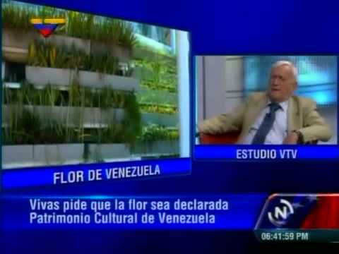 VTV entrevista a Fruto Vivas sobre la Flor de Venezuela (COMPLETO)