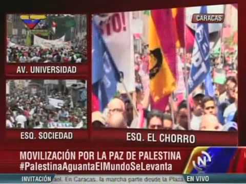 Ministros y líderes sociales venezolanos expresan su apoyo a Palestina