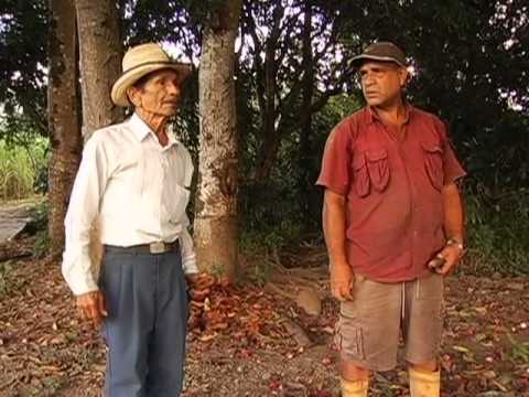 Jose Julian Villafranca