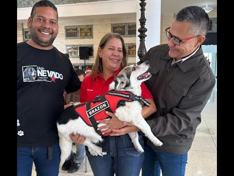 ¡El perro Brazón que acompañó restos de Hugo Chávez en 2013 sigue vivo! Entrevista a su cuidadora