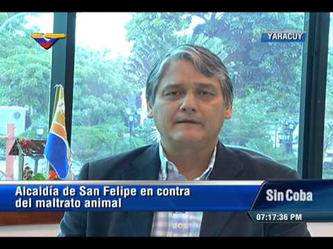 Alcalde de San Felipe, Alex Sánchez, defiende decreto que prohíbe corridas de toros