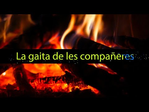 LA GAITA DE LES COMPAÑERES · LOS PECAYA · VIDEO LYRICS