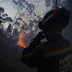 Grupos vandálicos provocaron incendios forestales para generar zozobra (+Video)