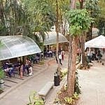 Jardín Cultural bajo los místicos versos de Alberto Arvelo Torrealba