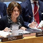 Subsecretaria de la ONU condena sanciones de EE.UU. contra Venezuela en medio de la pandemia por coronavirus