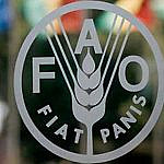FAO califica como “inadmisible” el bloqueo de recursos a Venezuela para adquirir alimentos