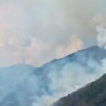 Investigan causas de incendio forestal en el Waraira Repano