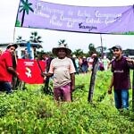 Exigen justicia ante asesinato del dirigente campesino Carlos Bolívar