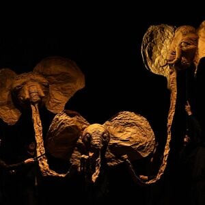 Obra teatral chilena “El carnaval de los animales” deleitó a grandes y niños en el Festival Internacional de Teatro Progresista