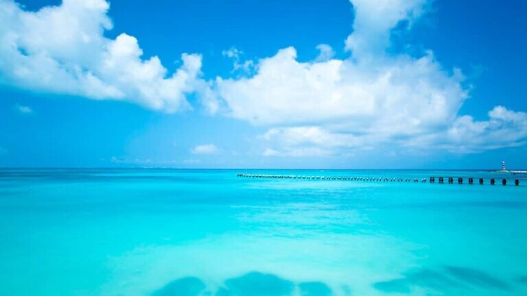 IAEM celebra la unidad caribeña con el 6to Encuentro de Saberes, Sonidos y Sabores dedicado al mar antillano