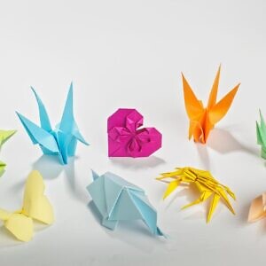 El Museo de Ciencias ofrecerá el taller creativo de origami “Manos que Construyen Paz”