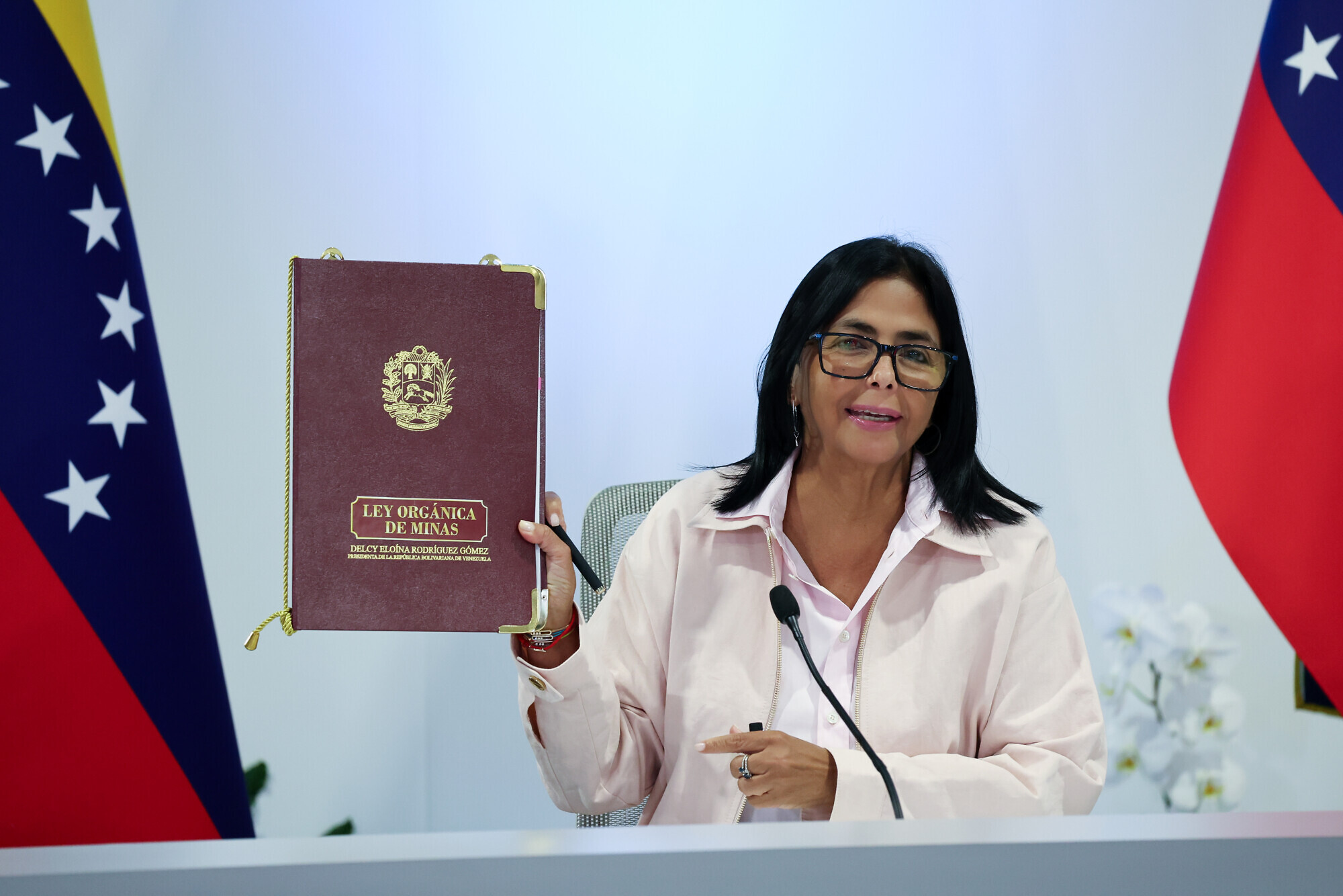 Delcy Rodríguez promulga Ley Orgánica de Minas y anuncia reincorporación de Venezuela al FMI