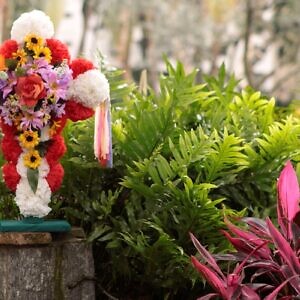 Eje del Buen Vivir se viste de tradición para celebrar el Velorio de la Cruz de Mayo