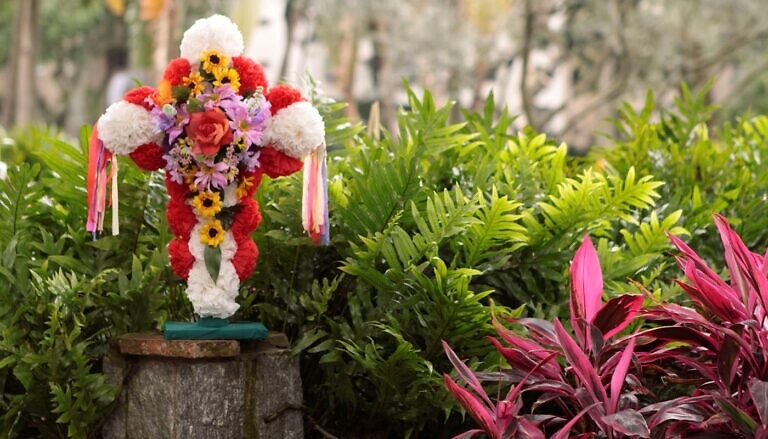 Eje del Buen Vivir se viste de tradición para celebrar el Velorio de la Cruz de Mayo 🗓